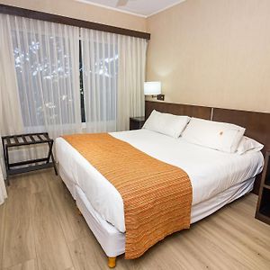Suite con Cama Queen